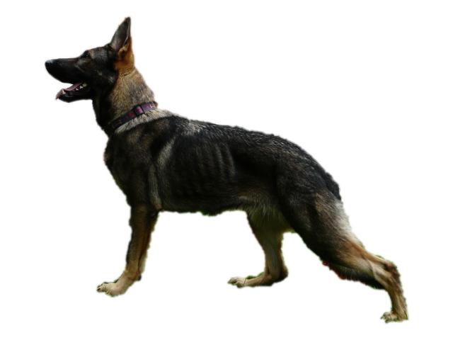 K640_arinapostoj.JPG