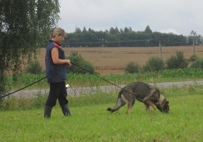 K640_IMG_3542.JPG
