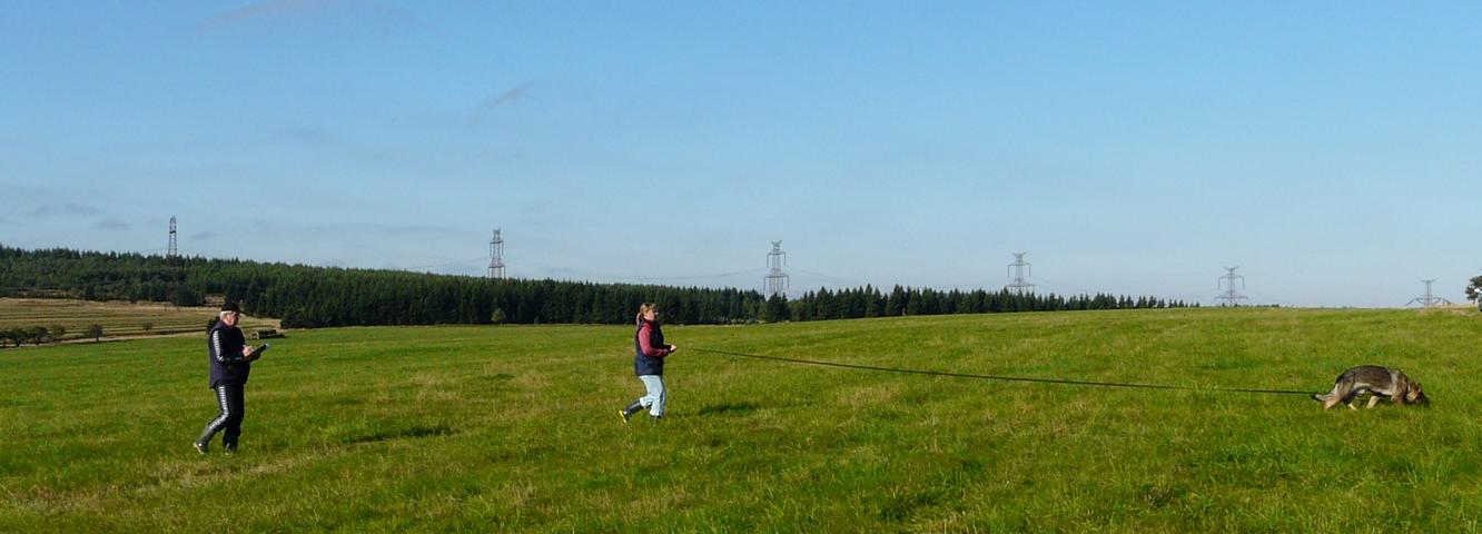 K640_P1150041.JPG